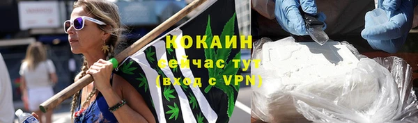 трава Новозыбков