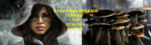 марки lsd Новокубанск