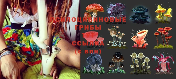марки lsd Новокубанск