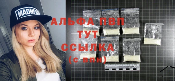трава Новозыбков