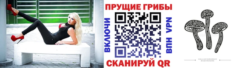 Галлюциногенные грибы Psilocybe  Купить  Калининск 